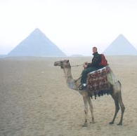 tpncamel.jpg